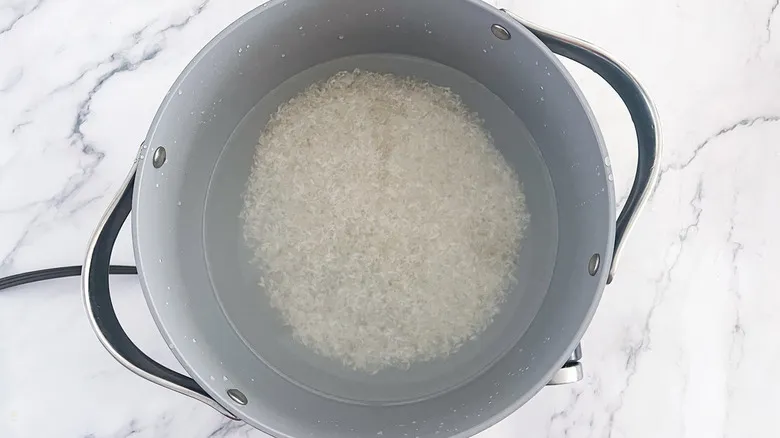 El Secreto del Arroz con Leche: Un Postre Mexicano Tradicional con Tres Leches