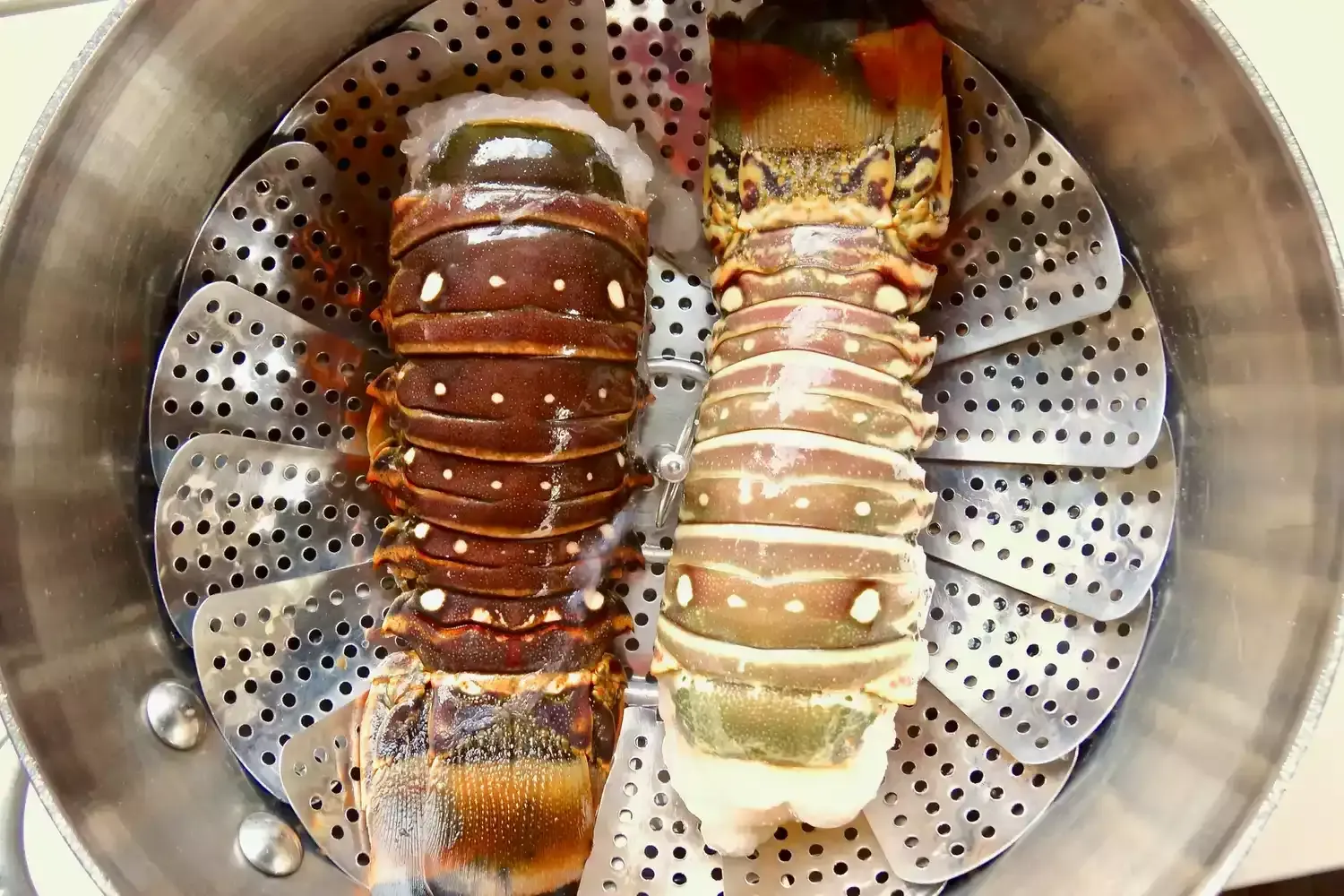 Ensalada de Langosta y Maíz a la Parrilla