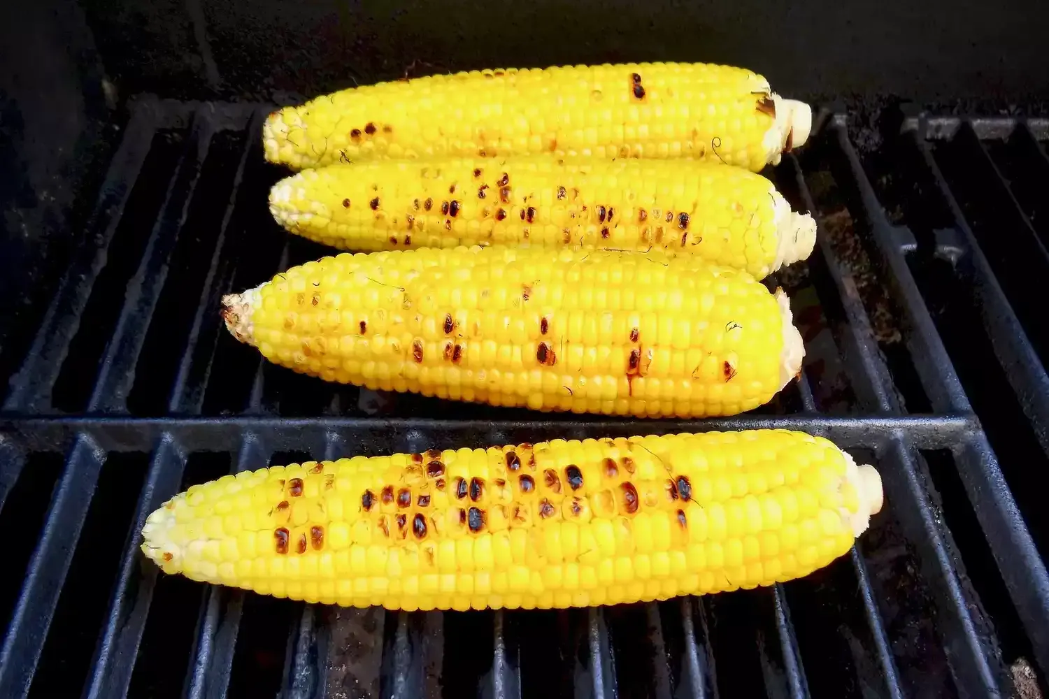 Ensalada de Langosta y Maíz a la Parrilla