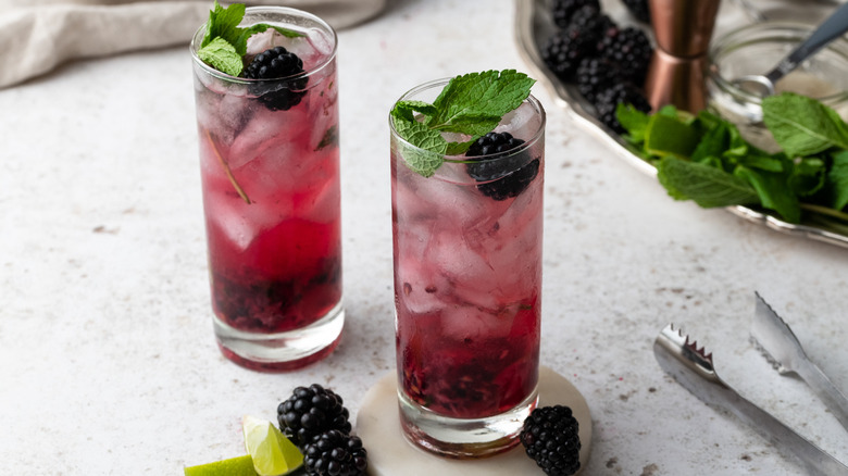 Mojito de Hibisco y Moras: La Receta Definitiva para un Cóctel Exótico y Refrescante