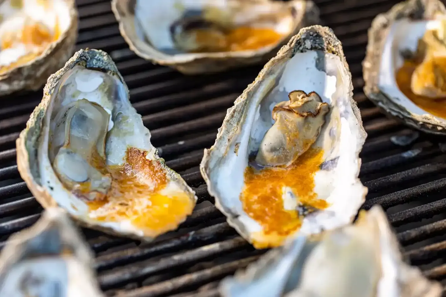 Ostras a la parrilla con mantequilla de miso picante" - Título SEO: "Receta de Ostras a la parrilla con mantequilla de miso