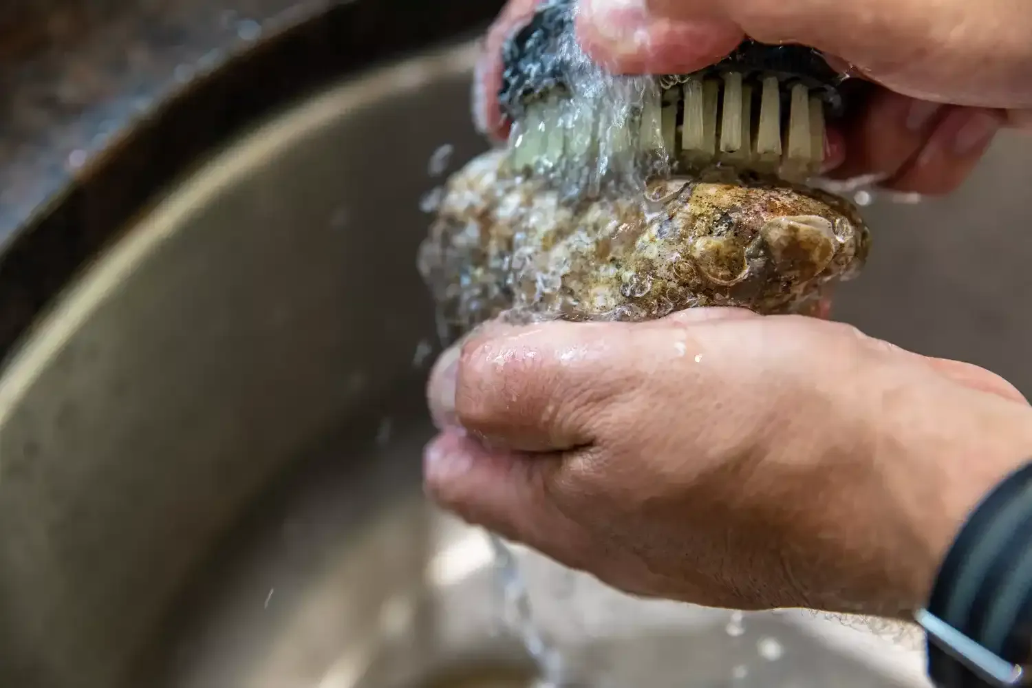 Ostras a la parrilla con mantequilla de miso picante" - Título SEO: "Receta de Ostras a la parrilla con mantequilla de miso