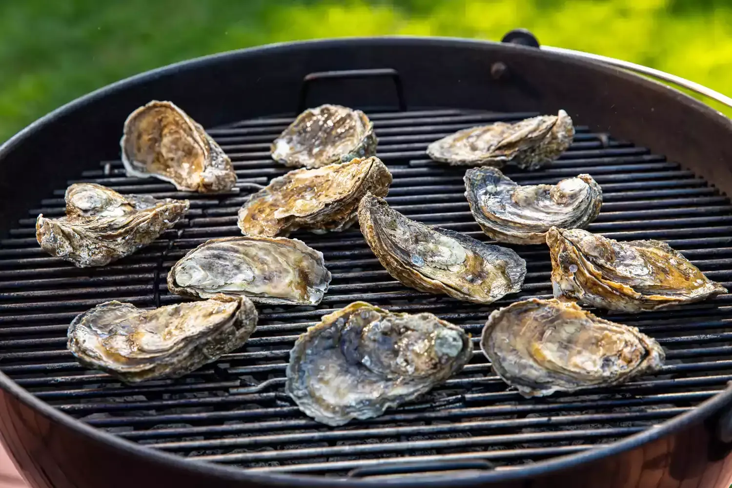 Ostras a la parrilla con mantequilla de miso picante" - Título SEO: "Receta de Ostras a la parrilla con mantequilla de miso