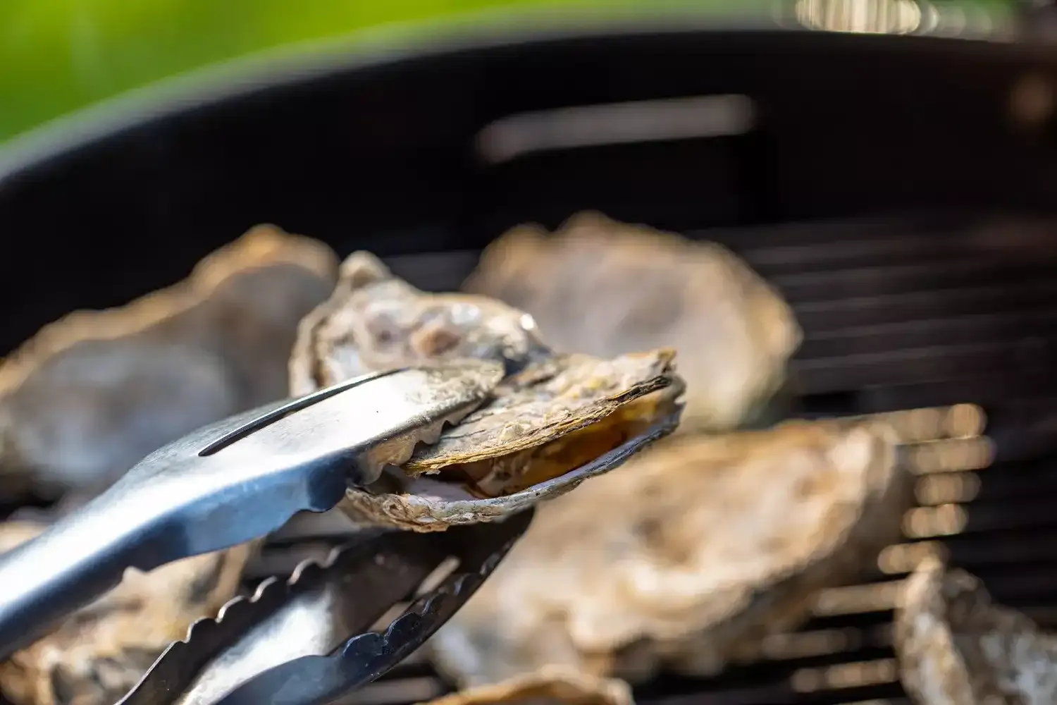 Ostras a la parrilla con mantequilla de miso picante" - Título SEO: "Receta de Ostras a la parrilla con mantequilla de miso