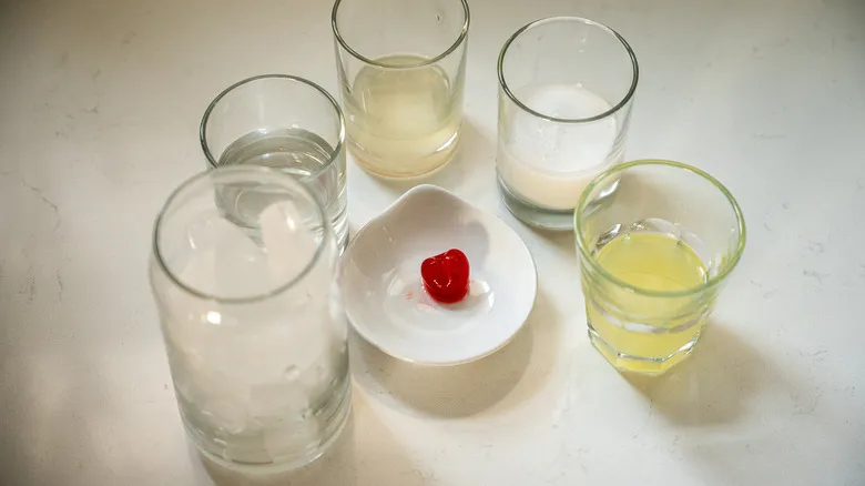Receta Clásica de Piña Colada Congelada: El Secreto de un Cóctel Tropical Perfecto